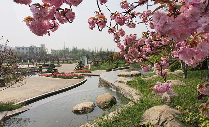 P1010613-.jpg